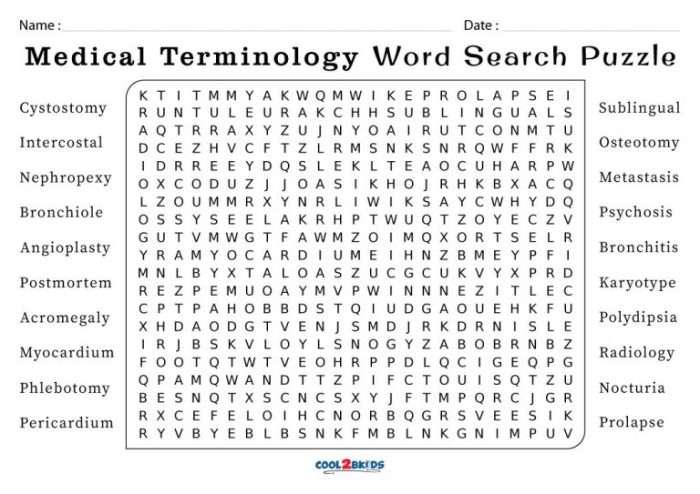 Terminology wordmint