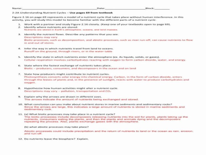 Biogeochemical cycles worksheet pdf answers