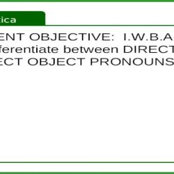 Gramatica a direct object pronouns