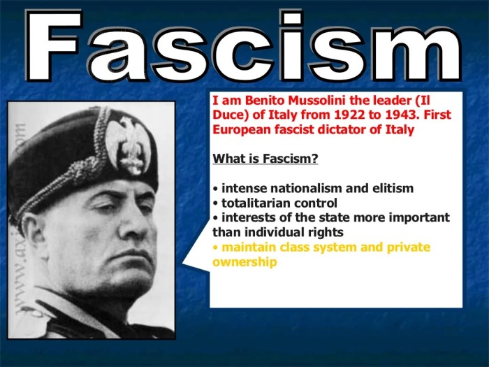 Fascism tojo worksheet