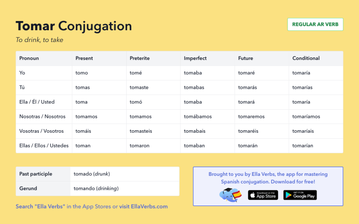 Conjugation verb conjugations verbs